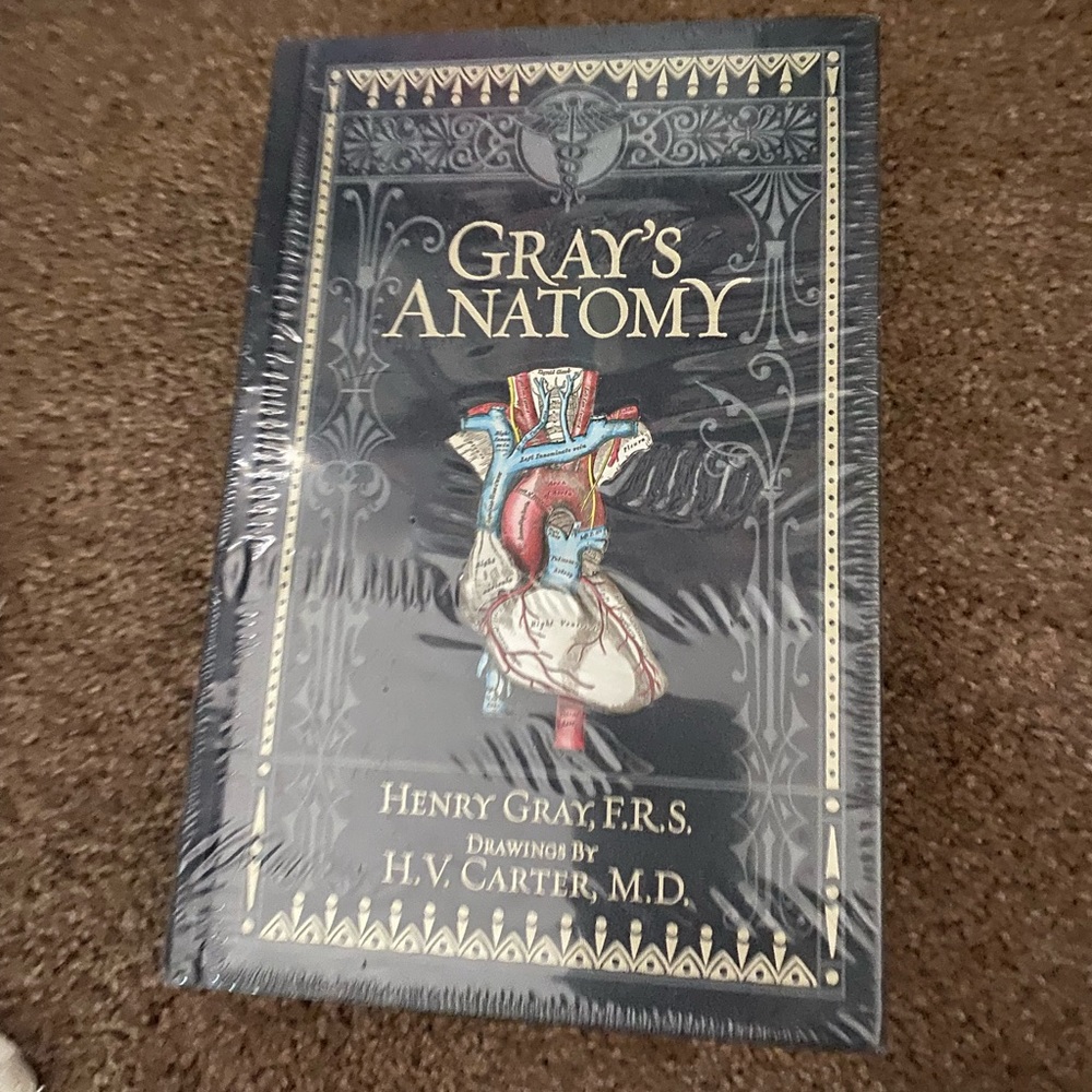 Grey’s Anatomy book
